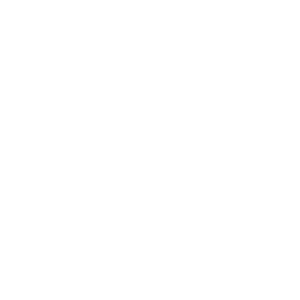 DAN LOGO BLANCO