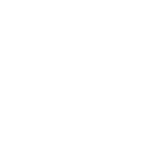 LOGOTIPO BLANCO