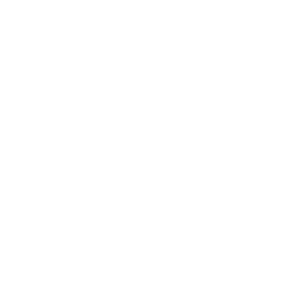LOGOTIPO EN BLANCO