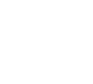 LOGOTIPO EN BLANCO 2
