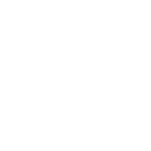 LOGOTIPO EN PNG BLANCO 2